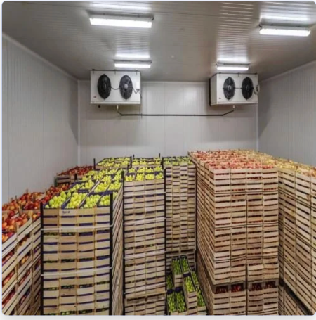 Falcon Cold Room Storage Facility with Crates